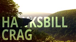 I Had it All to MYSELF! |Hawksbill Crag/Whitaker Point | Most Photographed Place in Arkansas