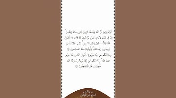 تلاوة في دقيقة سورة الروم الآيات ٣٧   ٣٩ الشيخ ناصر القطامي