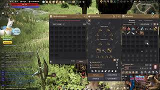 New to Black Desert (testing out new PC parts)