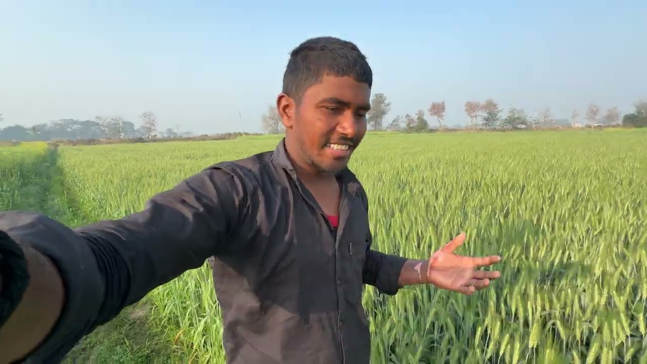 Day 37 || aaj pura kheto ko khatam kar denge