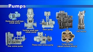 Auxiliary Machinery Management  Pumps