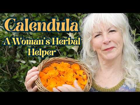Calendula - A Woman's Herbal Helper!