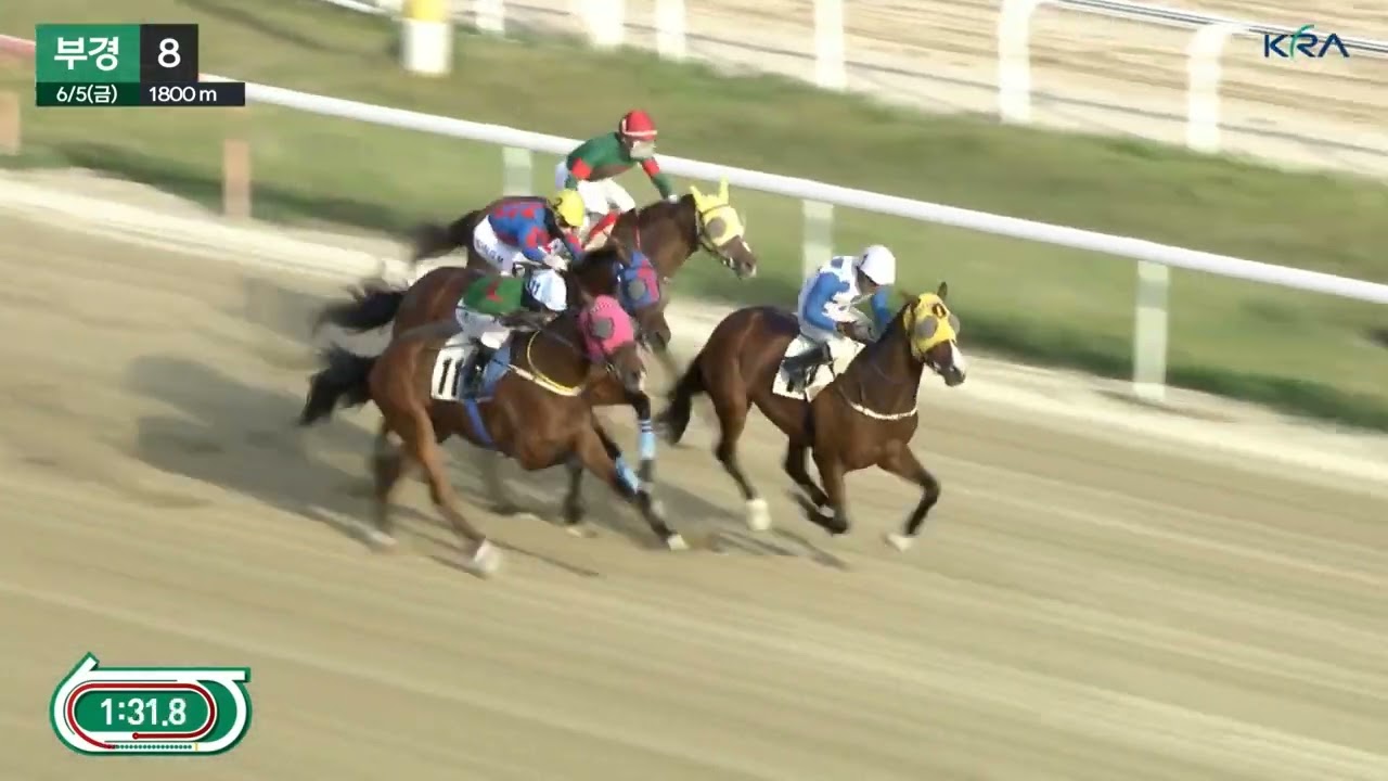 승운이는 계륵이다.들어오면 먹을게없고 빼자니 어렵고.3위.쌍승식: ⑪⑩ 175.3