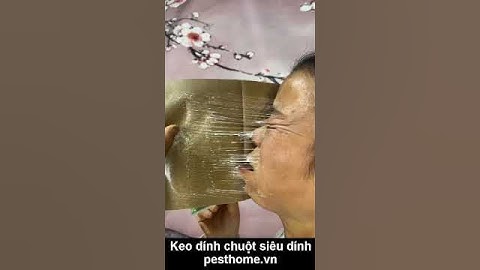 Test keo dính chuột siêu dính  BÁ ĐẠO