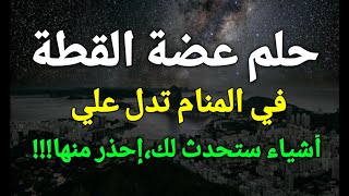 تفسير حلم عضة القطة في المنام تدل علي أشياء ستحدث لك،إحذر منها