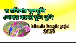 ও মদিনার বুলবুলি। তোমার নামের ফুল তুলি। বাংলা গজল