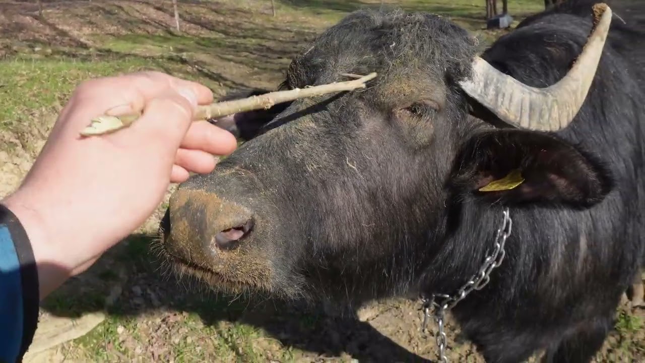 Спустя 4 месяца! Мы вернулись к жизни! #CityLaCountry!