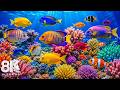 DREAM AQUARIUM 8K - Marine Life, Sea Animals and Coral Reef - Fish Tank Sounds for Deep Sleep