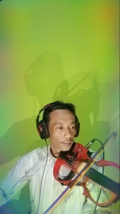 INSTRUMENTAL VIOLIN ACOUSTIC TERE LIYE - ZULI VIOLIN COVER #shorts