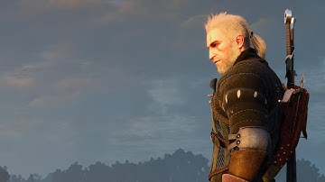 Witcher 3: Wild Hunt (Part 24) First Playthrough | Death March!