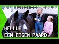 BRITT DEKKER DEELT AL HAAR PAARDENGEHEIMEN | HELLUP EEN EIGEN PAARD | ZAPPSPORT