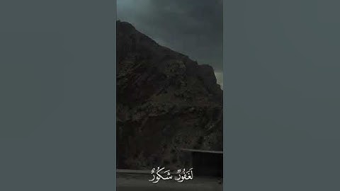 وقالوا الحمد لله الذي أذهب عنا الحزن 🌿 #ناصر_القطامي#سورة_فاطر#تلاوة #تلاوة_خاشعة#خشوع #قرآن_كريم