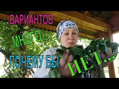 Как заработать в деревне, кроме ведения ХОЗЯЙСТВО?!