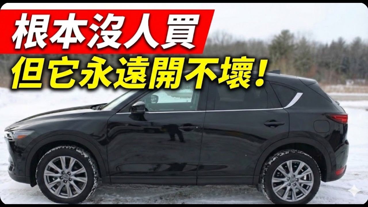 以為是破銅爛鐵，其實是理財神器！5款根本沒人買，但它永遠開不壞的白菜價SUV，懂車的都在偷偷買！