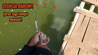 ASLI BABON‼SPOT INI BENAR BENAR PENUH KEJUTAN || mancing ikan red devil NAHOL MANIA