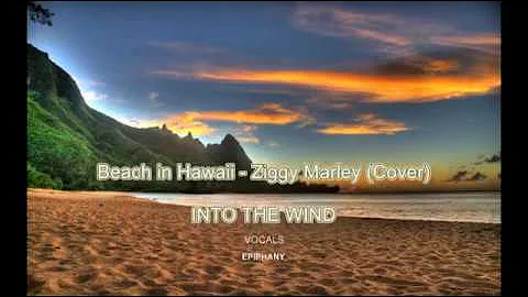 Beach in Hawaii - Ziggy Marley (COVER) Into The Wind