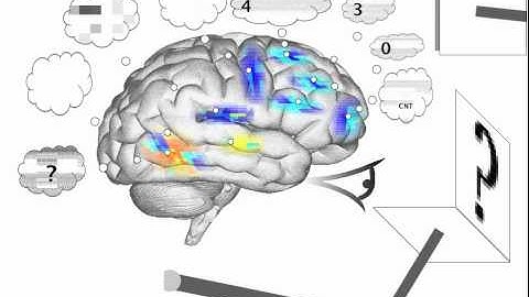 Spaun - Silent counting