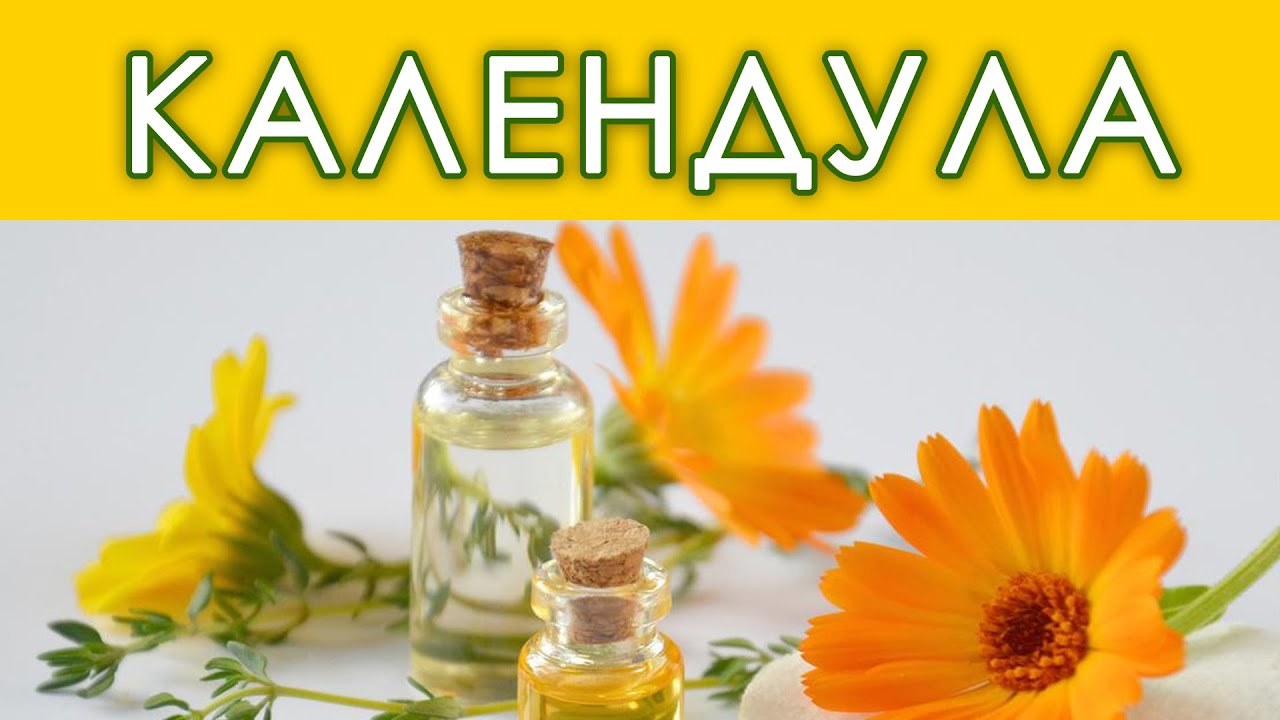 КАЛЕНДУЛА в лечении сердечно-сосудистой системы