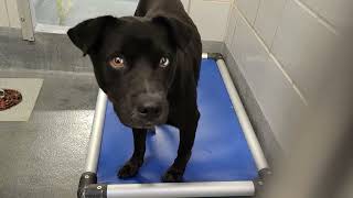 acs A678096