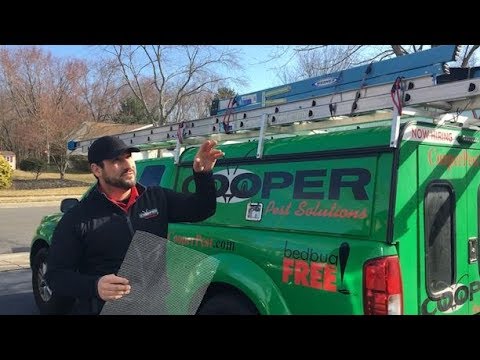 Cooper's Bird Exclusion Service - video from Cooper Pest Solutions