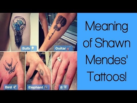 Meaning Of Each Of Shawn Mendes Tattoo S Youtube