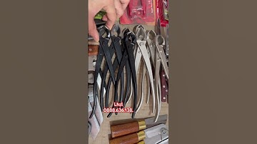 #. CẠP LÀM BONSAI CẠP TẠO SẸO CHO CÂY HÀNG BÃI