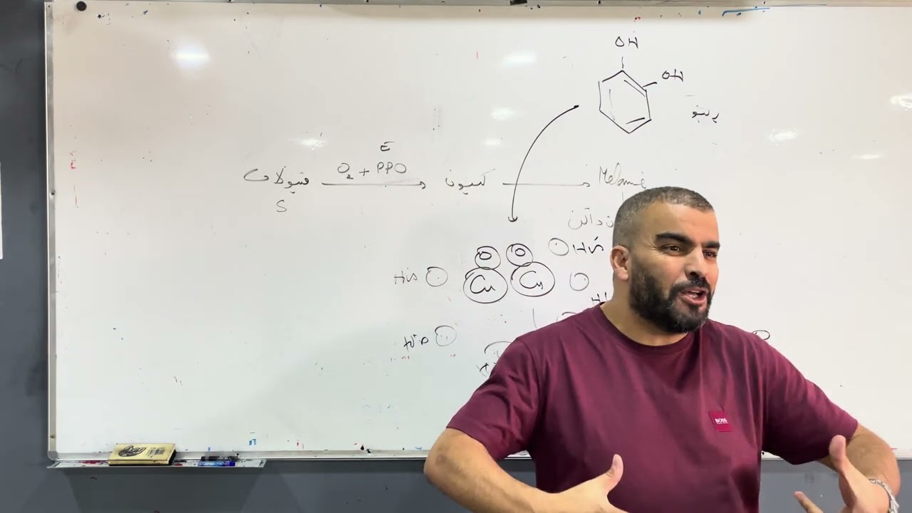 مراجعة شاملة بكالوريا علوم الطبيعة والحياة تمرين انزيمات