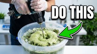 Making Medical Cannabis Bubble Hashish 101