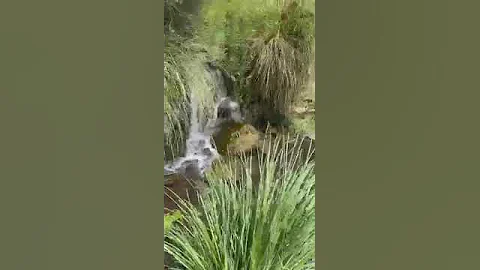 Punta del Agua - video springs1