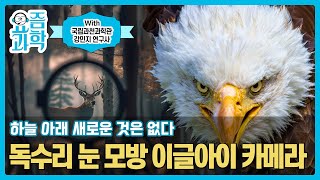 같은 하늘 아래 새로운 것은 없다🧐 독수리🦅 눈 모방 이글아이 카메라 개발! | 요즘과학