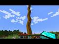 改造されたチェストが作れる世界でサバイバル【マインクラフト】