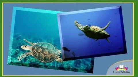 Excel 6 Experiences of a lifetime