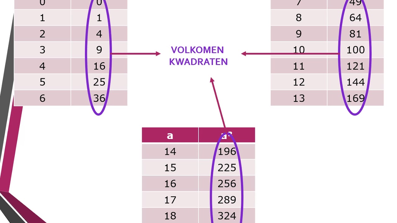Nando 1 - Module 7 - De machtsverheffing