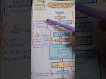 class 7 ncert notes digestive tract 🤍📌 #science #education #ncert #review #youtubeshorts#shortsfeed