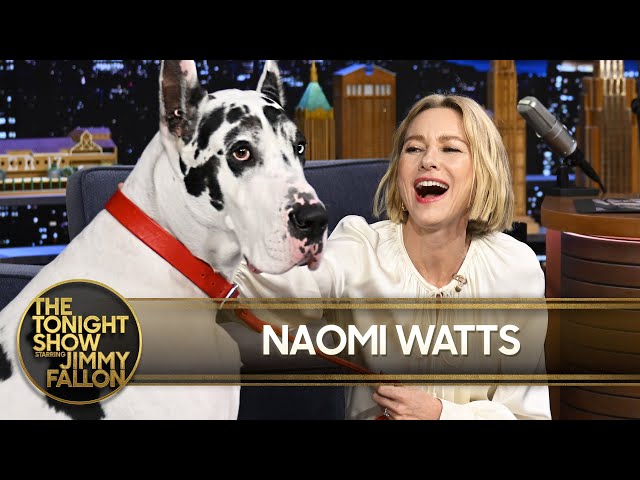 Naomi Watts Invites Jimmy to Perform a Song with Her Great Dane Co-star