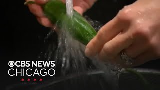 CDC issues recall over salmonella outbreak involving jalapeños