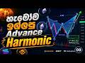 Harmonic Advance Trading Lesson 09- Technical Analysis - Sinhala