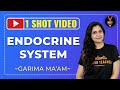 Endocrine System in Hindi One-Shot For Class 11 | Chemical Coordination and Integration | NEET 2020