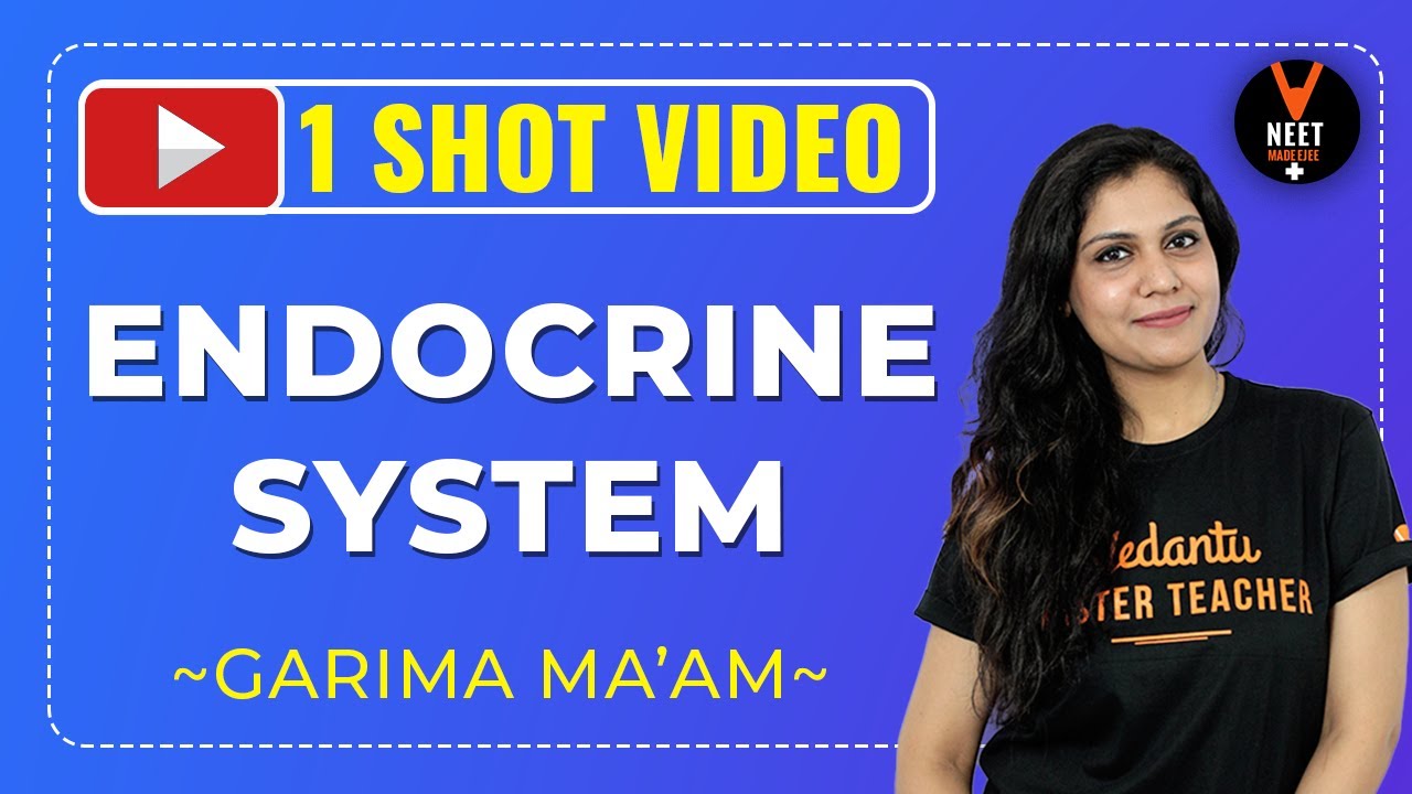 Endocrine System in Hindi One-Shot For Class 11 | Chemical Coordination ...