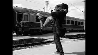 GLASS TIGER ( Rescued ) BY The Arms Of Love