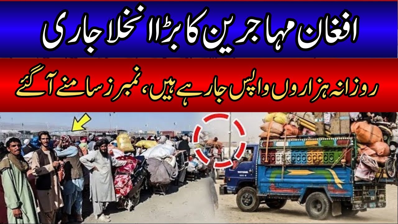 Afghan Refugees in Pakistan | Over 5,000 Afghan Refugees Leave Pakistan in One Day Border-Wise Data