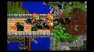Tibiagta War Panic'Team 31/01/2014