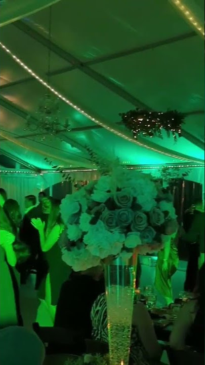 Insane DJ Lighting