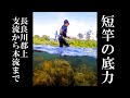 鮎釣り 短竿の威力を見てほしい