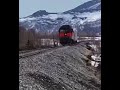 В Воркуте бегущие по железной дороге олени чуть не попали под колёса поезда