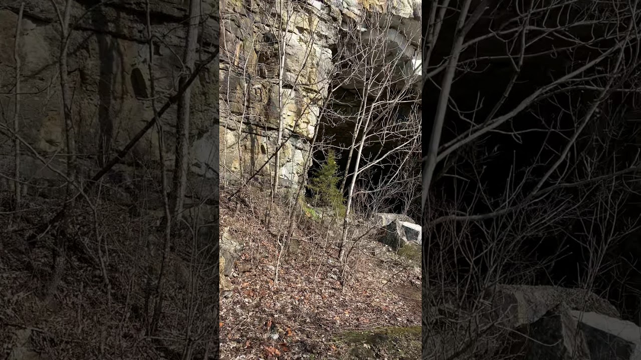 Sasquatch in Tennessee