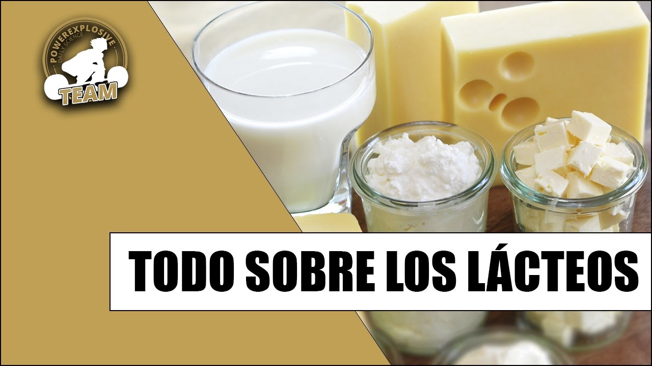 LÁCTEOS: TODO LO QUE NECESITAS SABER muscular endurance