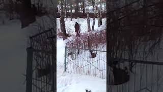 ШЕДЕВР А НЕ ВИДЕО (типичная Россия)...