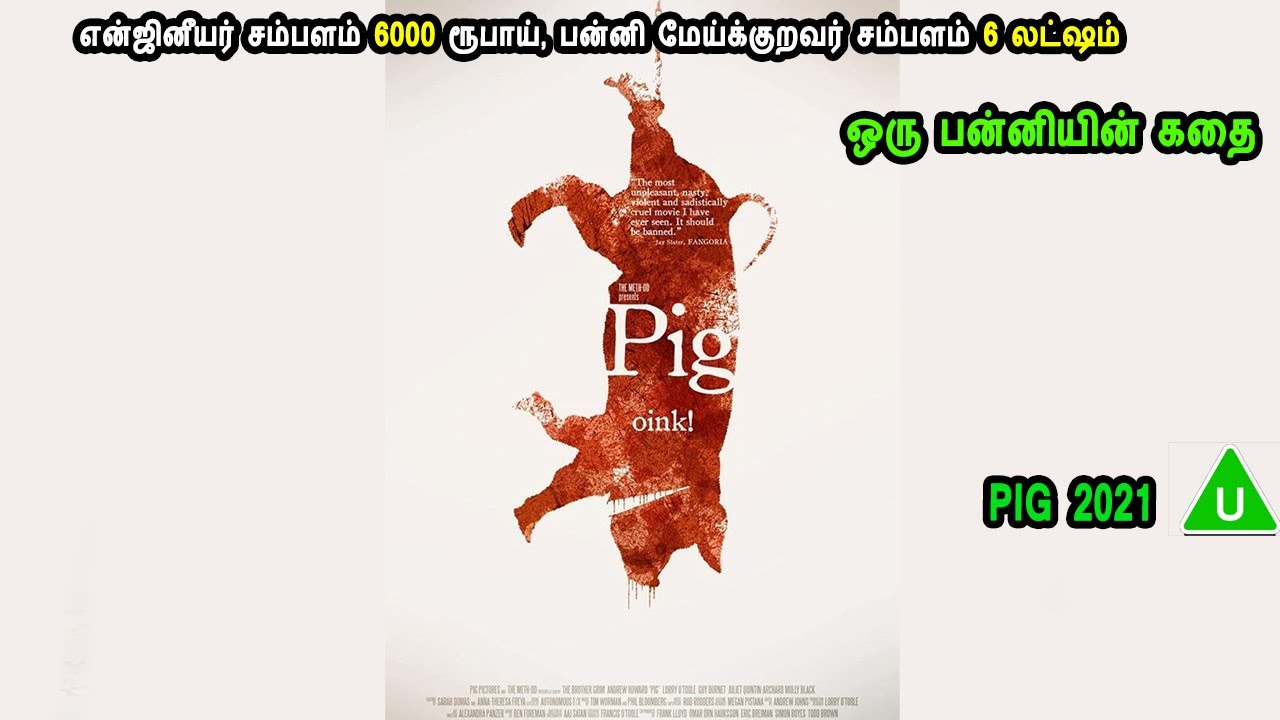 என்ஜினீயர் சம்பளம் 6000 ரூபாய், பன்னி மேய்க்குறவர் சம்பளம் 6 லட்ஷம் - MR Tamilan Dubbed Movie Story