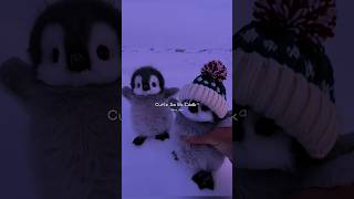 Golu molu cute potato 😉🤪 | Cute Puppy status | masti 😇| Lyrics | #lyrics#shorts#trendingsong